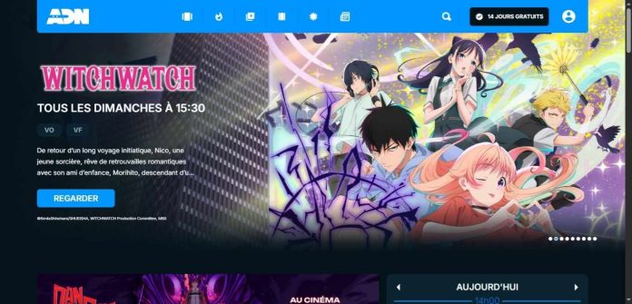 Animation Digital Network Website