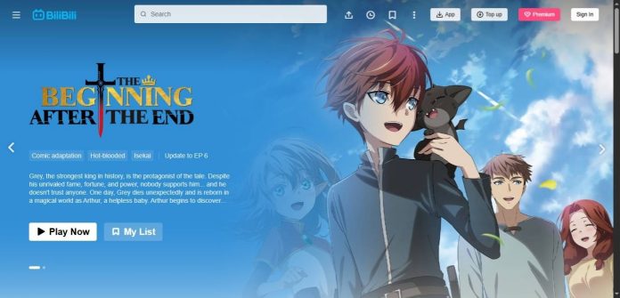 BiliBili Website