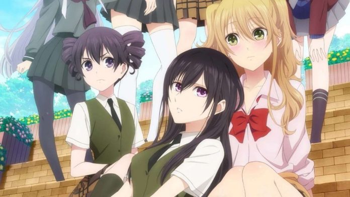 Citrus Anime