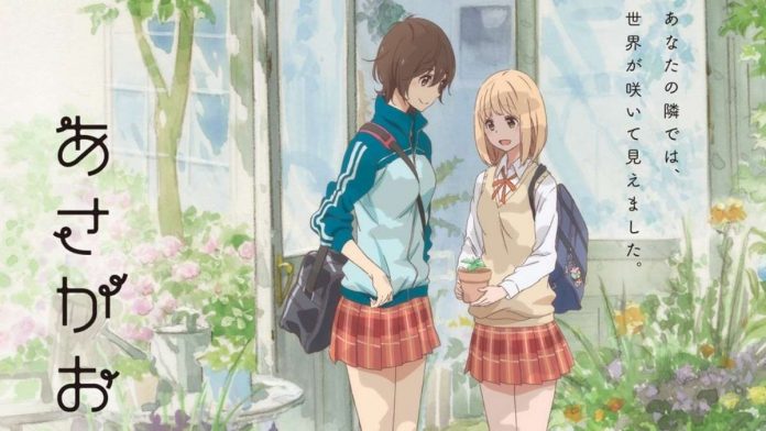 Kase-san and Morning Glories Anime