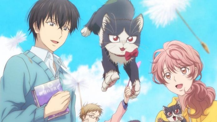 My Roommate is a Cat Anime