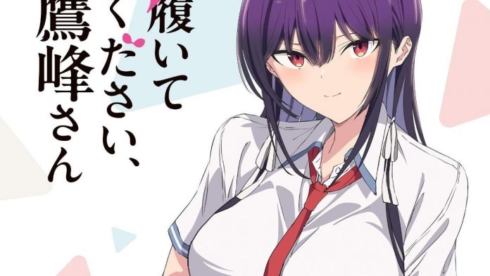 Please Put Them On, Takamine-san Anime