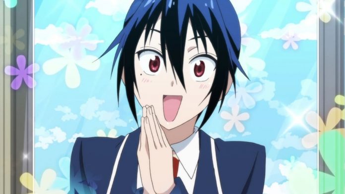 Seishirou Tsugumi