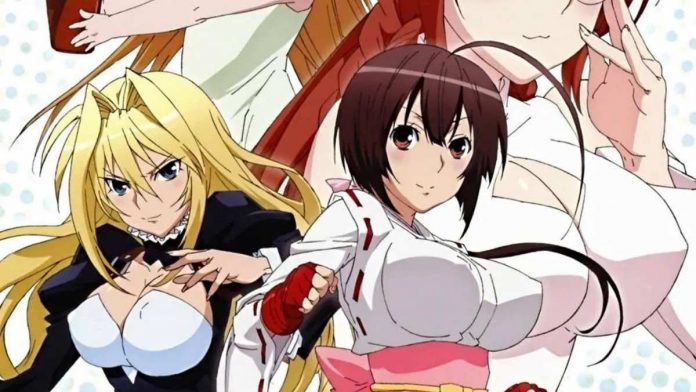 Sekirei Anime