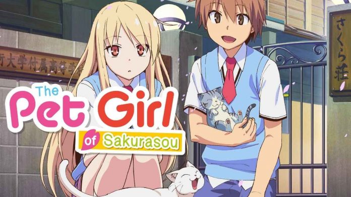 The Pet Girl of Sakurasou Anime
